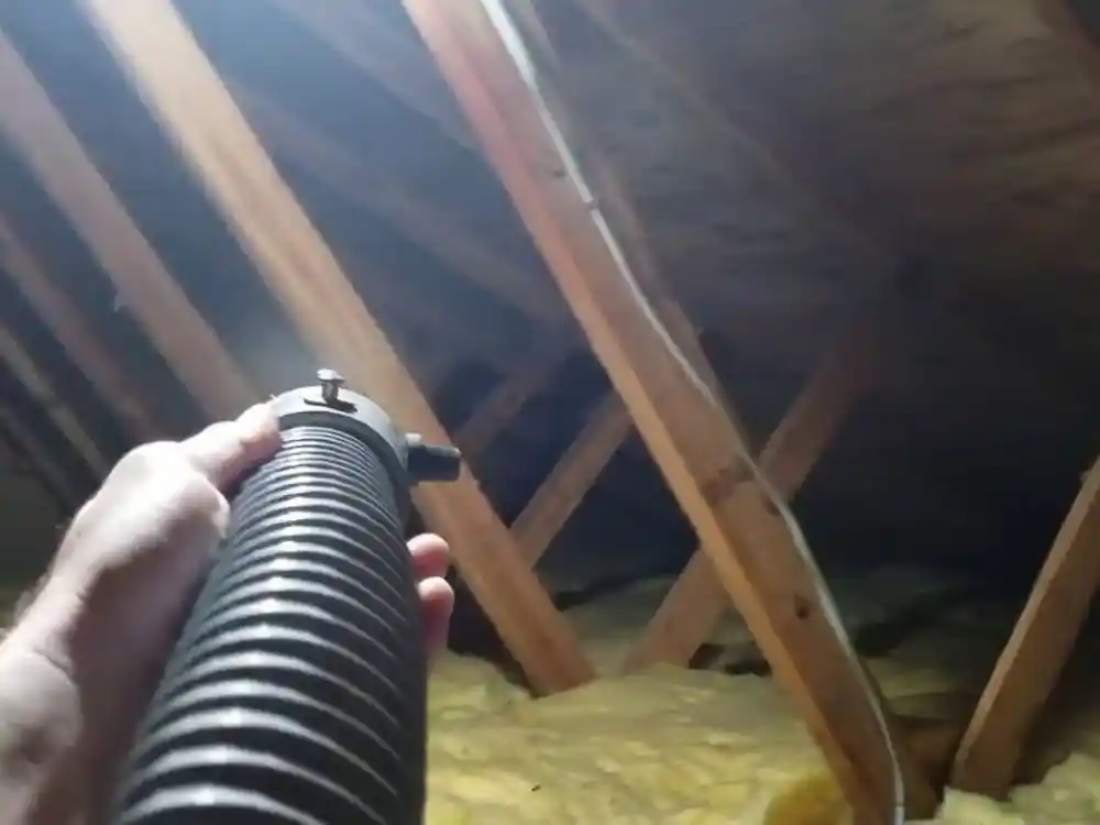 Technician treating attic wood surfaces with an antimicrobial sprayer inside the attic — Attic Mold Removal in Fairfax, VA