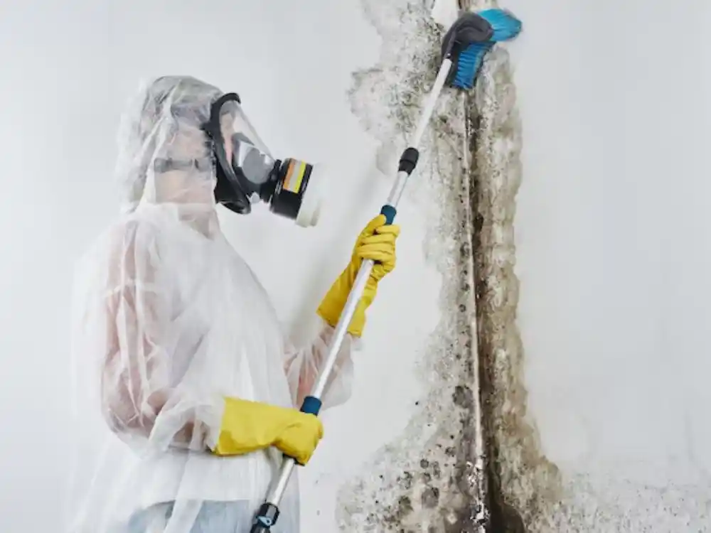 Technician with HEPA vacuum and containment sheeting set up in a basement remediation zone — Basement Mold Cleanup in Fairfax, VA