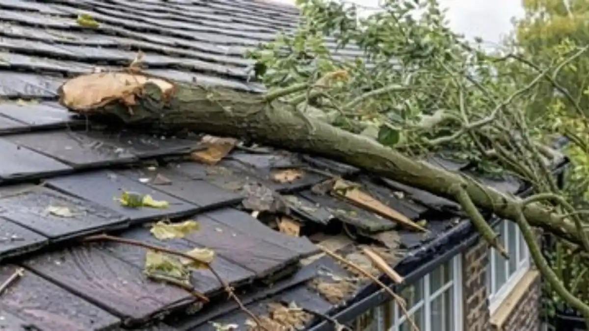 Storm-damaged roof or exterior with visible shingle loss, debris, or a fallen tree limb — Emergency Storm Cleanup in Fairfax, VA