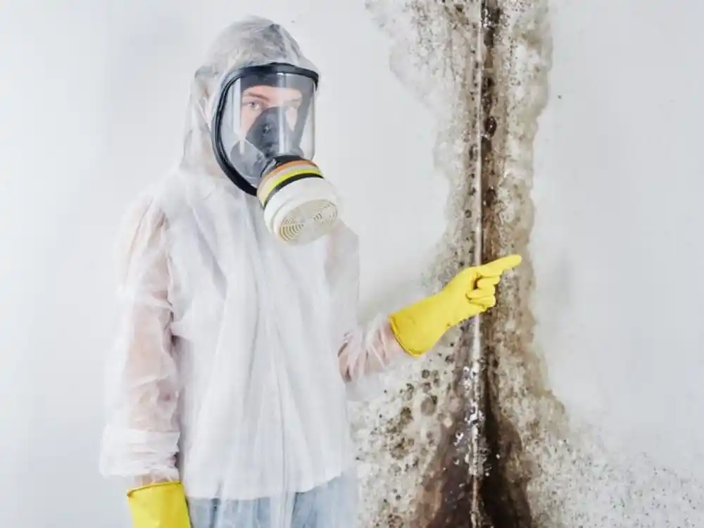 Technician in full containment PPE working inside a sealed containment barrier with HEPA — Mold Remediation Services in Fairfax, VA