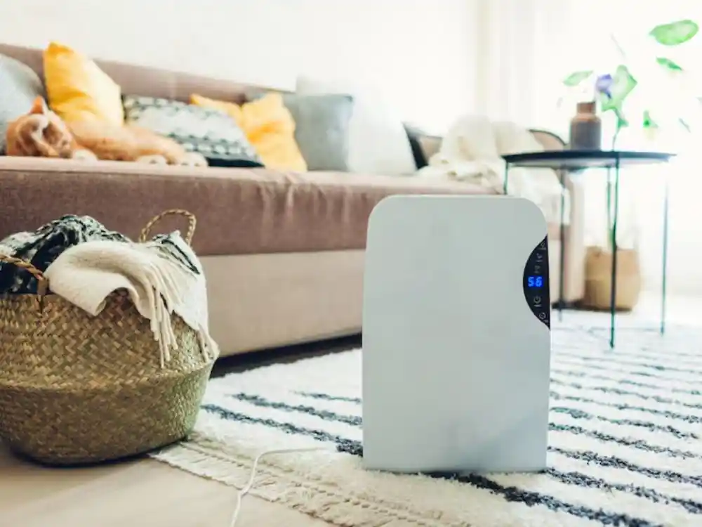 Row of commercial air movers and a large dehumidifier set up in a residential room, cords — Structural Drying Dehumidification in Fairfax, VA